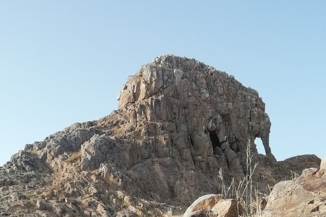 The Elephant Rock -Dandi